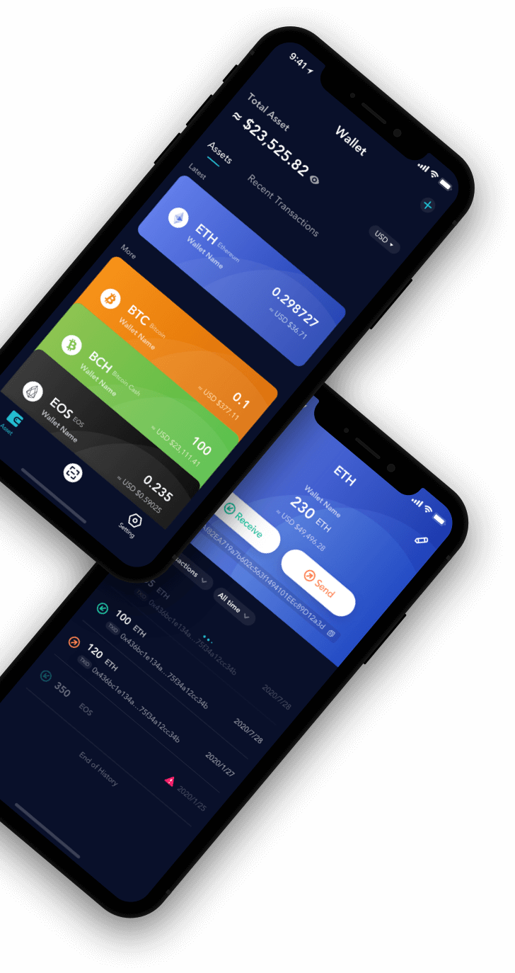 Multiple wallet and currency management from a single interface